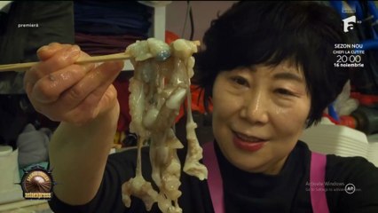 Asia Express - Drumul Eroilor - Episodul 33 din  2 . Noiembrie 2025  part 1