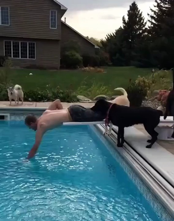 Instant Karma Moments You’ll Love!#funnyvideos #epicfails #viralclips #laughoutloud #trynottolaugh #bloopers Watch the funniest moments and epic fails caught on camera! 😂 Real people, real chaos — 100% laughter guaranteed. See more viral videos like thi