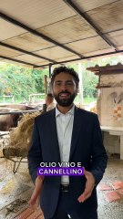 Pimonte (NA) - Somma: A Pimonte abbiamo una visione chiara... (02.11.25)