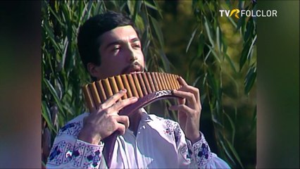 Romeo Vaduva - Instrumental nai (Hora satului - arhiva TVR)