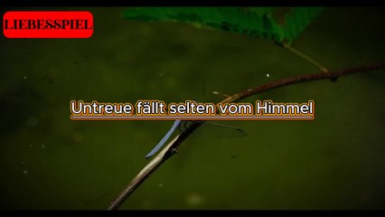 So verhalt sich eine Frau, bevor sie untreu wird