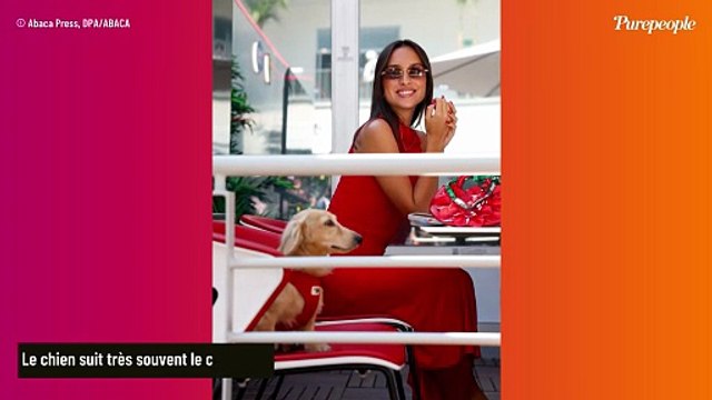 Charles Leclerc est fiancé ! Le pilote a vu les choses en grand pour faire sa demande à Alexandra Saint Mleux (et il a reçu l’aide d’un compagnon très proche)