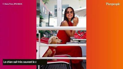 Charles Leclerc est fiancé ! Le pilote a vu les choses en grand pour faire sa demande à Alexandra Saint Mleux (et il a reçu l’aide d’un compagnon très proche)