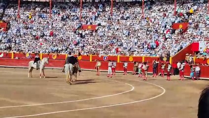 Rafael de Paula: Emocionante Momento de Silêncio que Tocou o Brasil 🎶