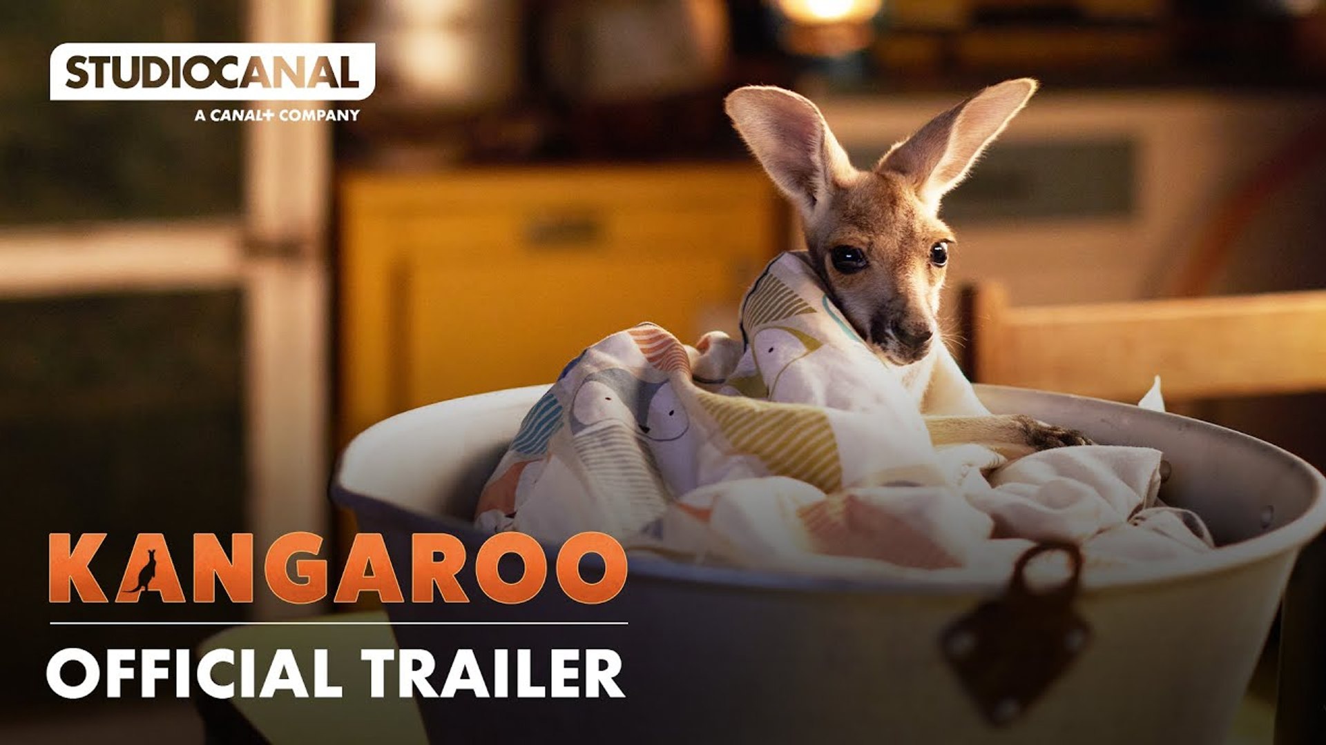 ⁣KANGAROO | Official Trailer | STUDIOCANAL
