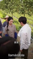 Vida equivocada 1977