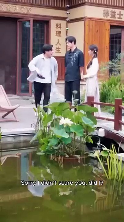 healing my mortal wife first - chinese drama