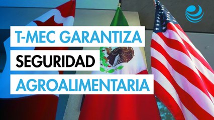Mantener el T-MEC por 16 años más para garantizar certidumbre y competitividad, pide el CNA