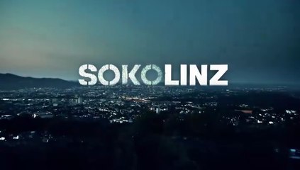 SOKO Linz -26- Systemcrash