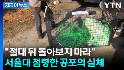 서울대 캠퍼스 불안 확산... 학생들 '행동 요령 공유까지' [지금이뉴] / YTN