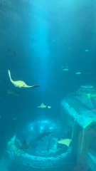 beautiful view of Dubai mall