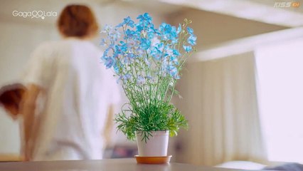 The Proper Way to Write Love – Renai Rubi no Tadashii Furikata (2025) Episode 6 | Japanese subbed EN