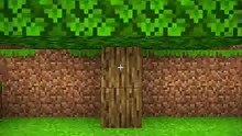 Minecraft Maybe Secret Tree Moment
