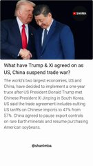 Trump & Xi agreed on as US, China suspend trade war?