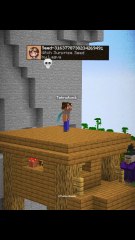Minecraft Witch Surprise Seed Moment
