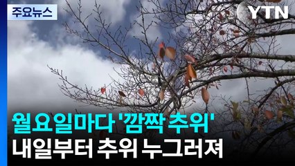 [날씨] 낮에도 쌀쌀, 내일 추위 풀려...막바지 가을 즐기는 시민들 / YTN