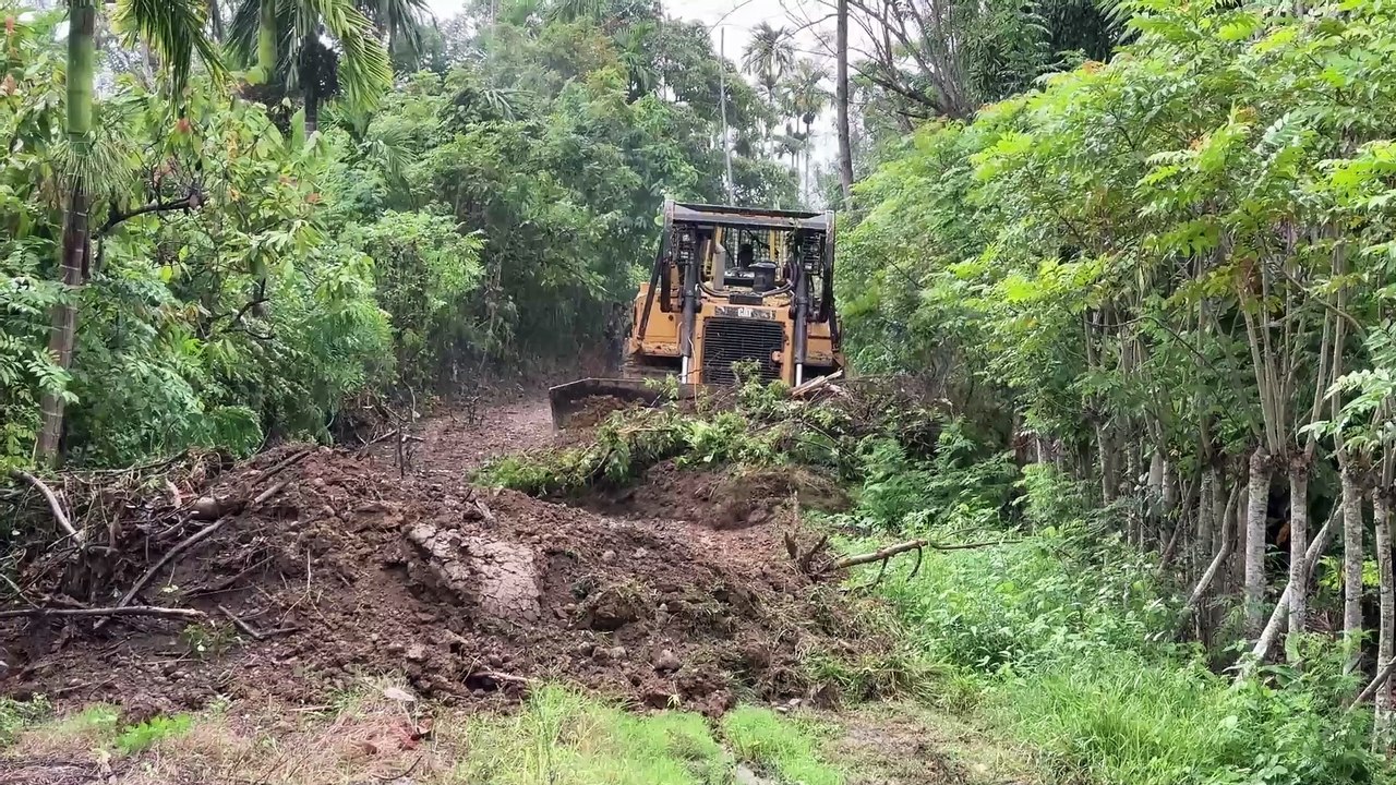 Benefits of Routine Servicing of D6R XL Bulldozer in Plantation Road Repairs