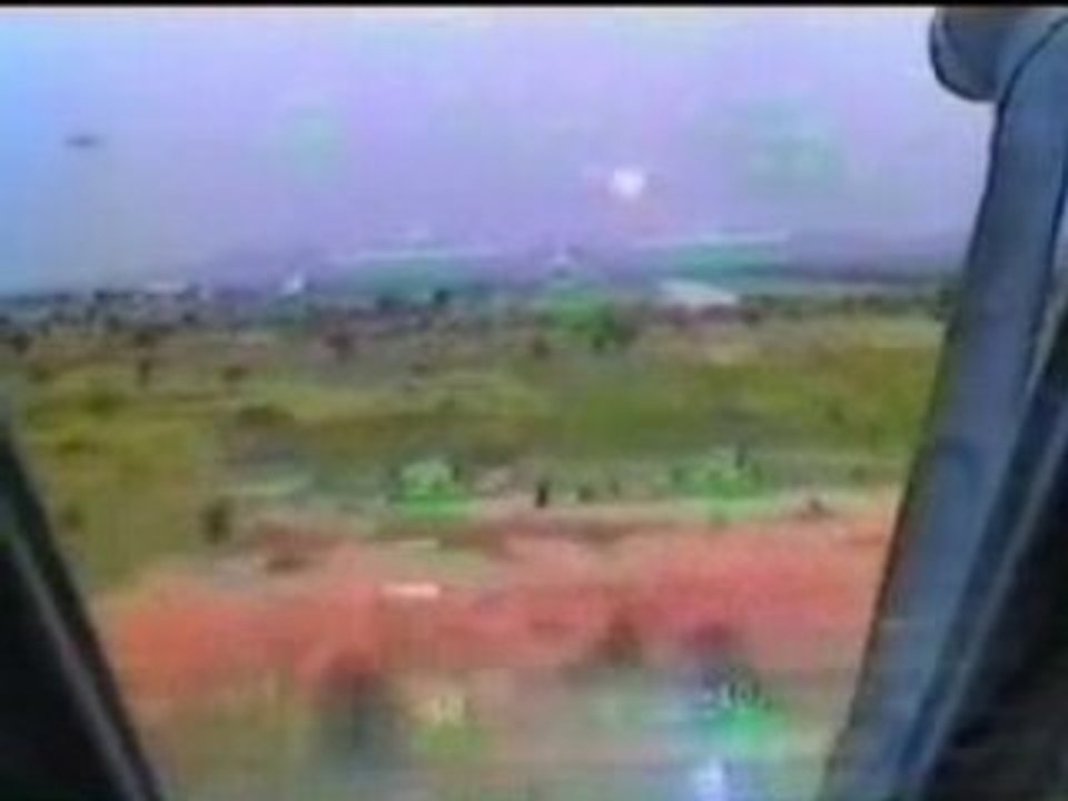 Wild Fly-F1 in Tchad