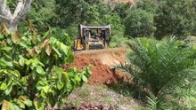 Awesome! Bulldozer D6R XL Plantation Road Working on Mountain Slope