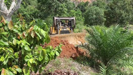 Awesome! Bulldozer D6R XL Plantation Road Working on Mountain Slope