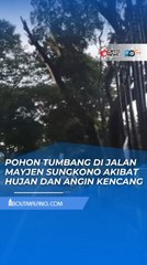HUJAN DERAS DAN ANGIN KENCANG TERJANG KOTA MALANG! BANYAK POHON TUMBANG
