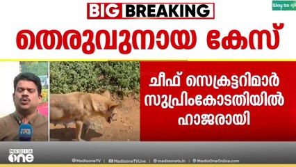 തെരുവുനായ കേസിൽ ചീഫ്സെകട്ടറിമാർ സുപ്രീംകോടതിയിൽ, കേരളത്തിന് വേണ്ടി ടിങ്കു ബിസ്വാൾ