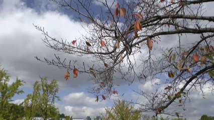 [날씨] 내일 아침까지 '찬 바람'...맑지만 큰 일교차 유의 / YTN