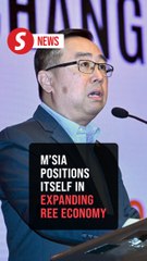 Global rare earth market set to double by 2030, says Chang