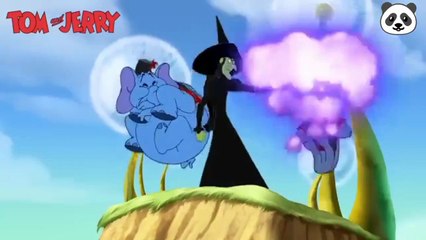 Tom and Jerry : Tim and Jerry Cartoon Video 😹 | Ultimate Funny Chase Moments 2025: