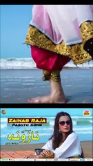 Zainab Raja | Pashto Song 2025 | Dalta Che Ze Raze | Pashto New Song 2025
