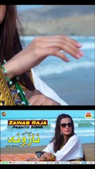 Zainab Raja | Pashto Song 2025 | Maste Nazoona Adagane