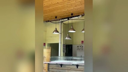 Alghero, piove dentro il mercato civico: "A rischio operatori e cittadini"