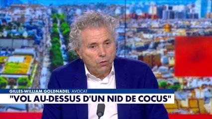 «La France insoumise est le parti de l’étranger», affirme Gilles-William Goldnadel