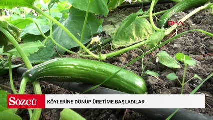 Köylerine dönüp üretime başladılar
