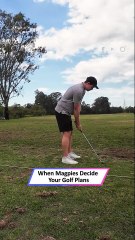 Golf Practice Interrupted by Magpies — Chaos at the Driving Range! 😂🐦|| Heartsome 💖