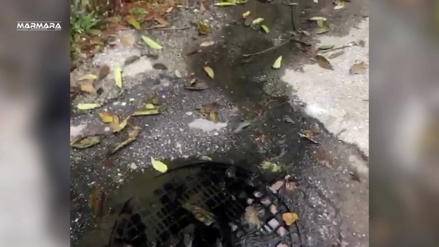 Hafta Sonu Mahmurluğundan Çıktıysanız İşinizi Yapın!