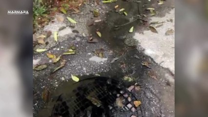 Hafta Sonu Mahmurluğundan Çıktıysanız İşinizi Yapın!