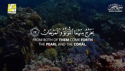 World's most beautiful recitation of Surah Ar-Rahman (سورة الرحمن)