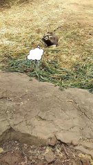 Do you smile for selfies? 😅