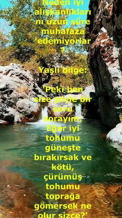 Alışkanlıklar