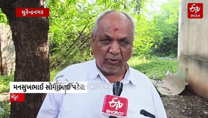 સુરેન્દ્રનગરમાં કમોસમી વરસાદથી ખેડૂતોના પાકને ભારે નુકસાન; તાત્કાલિક સર્વે અને વળતરની માંગ