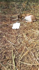 Is your Wi-Fi weak too?