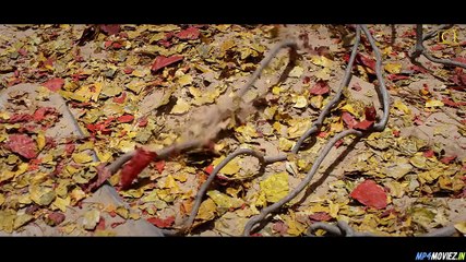 Longling Mystery Grottos (2022) – Full Movie Hindi Dubbed