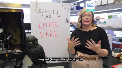 تحقیقات دانشمندان علوم اعصاب؛ وقتی خواب یا کابوس می‌بینیم چه اتفاقی برای مغز ما می‌افتد؟