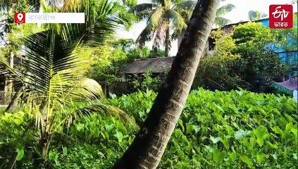 প্রতিবেশীকে মা-বাবা সাজিয়ে ভোটার-আধার! কাঠগড়ায় রিফিউজি কলোনির বৃদ্ধ, শোরগোল কাকদ্বীপে