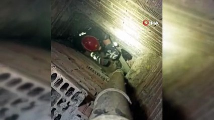 Minik miyavın kurtuluş hikayesi: İtfaiye zamanla yarıştı