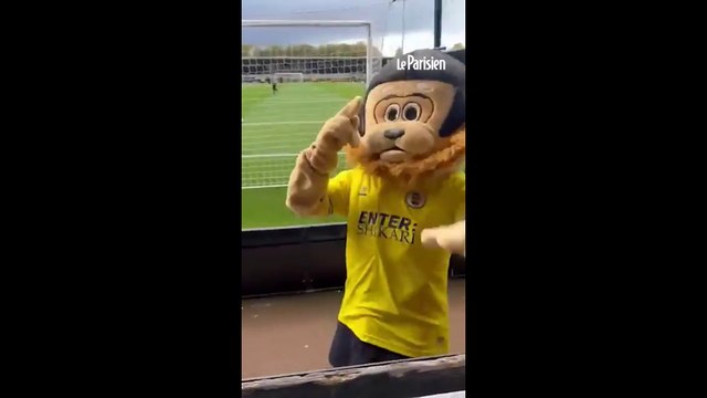 Alcoolisée, une mascotte se fait renvoyer d'un stade de foot anglais