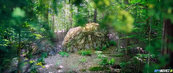 Please Dont Destroy The Treasure Of Foggy Mountain – Full Movie