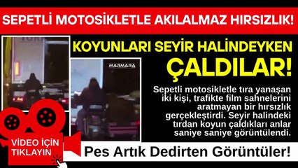 Sepetli Motosikletle Akılalmaz Hırsızlık! Koyunları Seyir Halindeyken Çaldılar!
