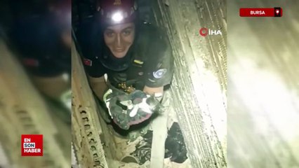 Bursa'da 10 metrelik havalandırma boşluğuna düşen yavru kediyi itfaiye ekipleri böyle kurtardı